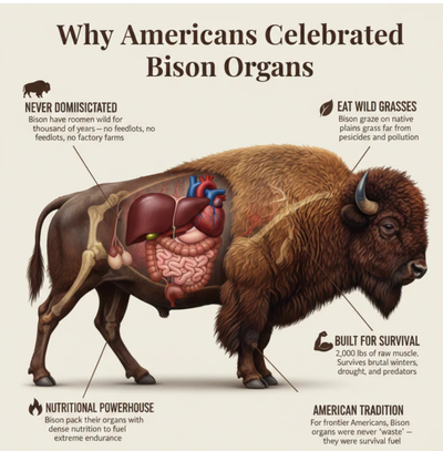 American Primal Bison Capsules